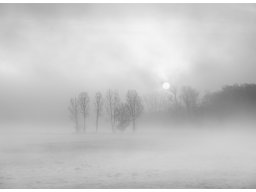 1 Themenwettbewerb Stille